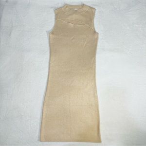 Pink Rose Nude Dress